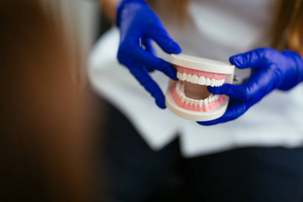 Professional Holistic Dental Care Services in Attica, MI